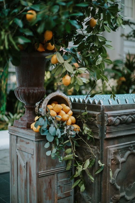 The Wedding of Ariel and Matthew